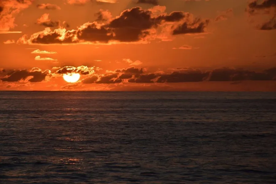Niue New Year Ideas: How to Spend the New Year in Niue