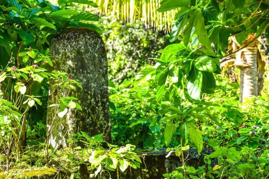 10 Fascinating Historical Sites in Niue