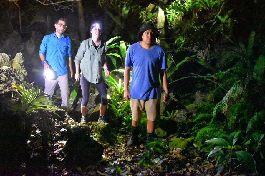 7 Best Nature Tours in Niue