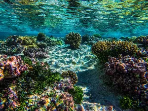 The Best Niue Itineraries for 1 Week ???? [2023]