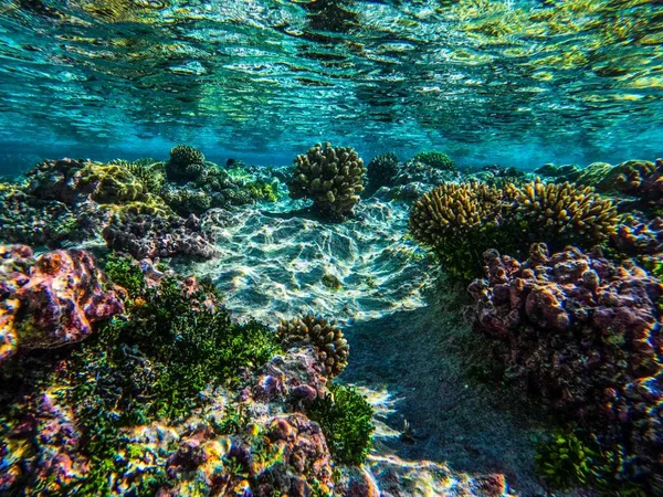 The Best Niue Itineraries for 1 Week ???? [2023]