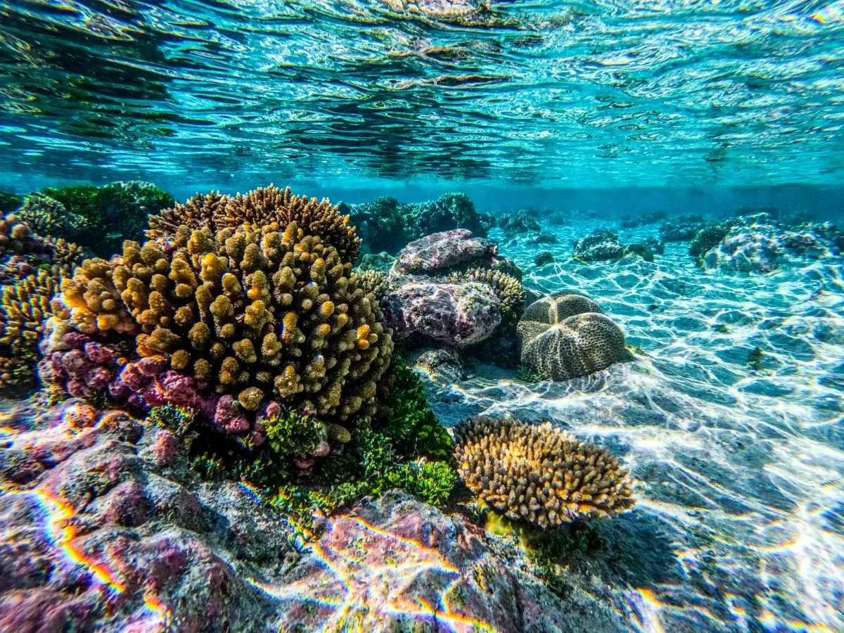 Niue Travel Tips: 31 Tips for Travelling in Niue ???? [2023]