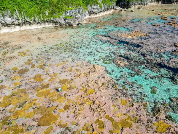 6 Best Reef Walks in Niue