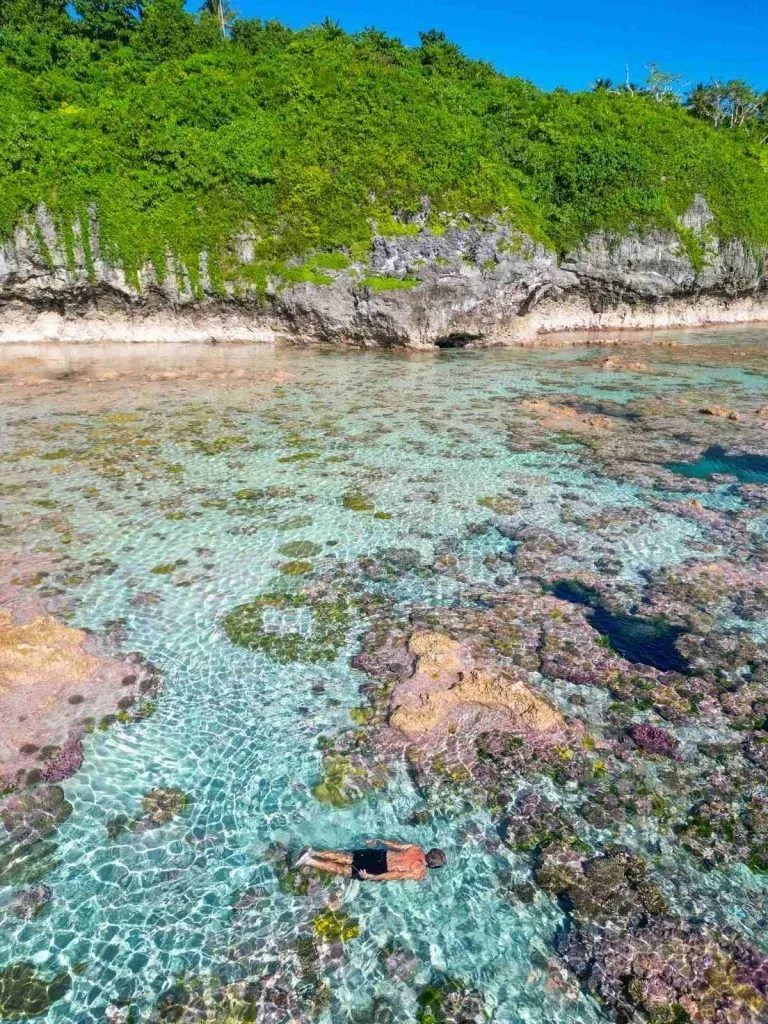 What You Need to Know About the Tide Times in Niue