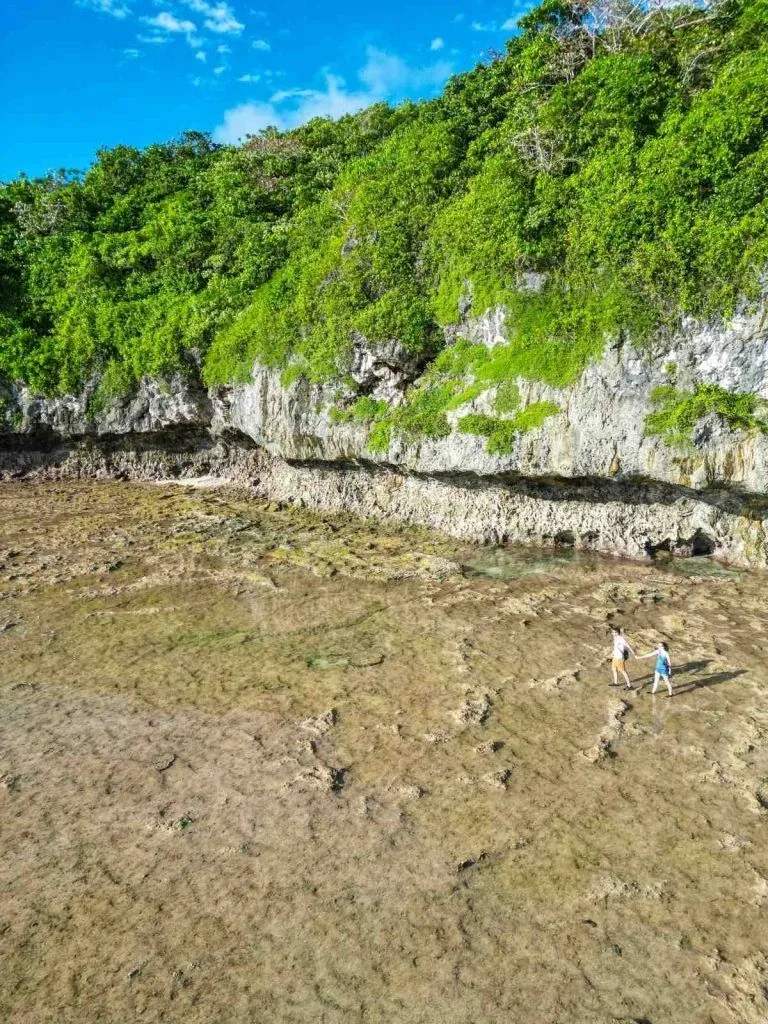 6 Best Reef Walks in Niue