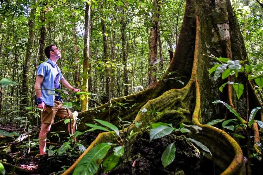 10 Most Breathtaking Natural Attractions in Niue