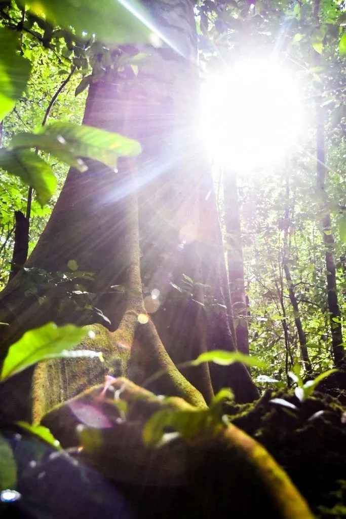 Niue Weather in August