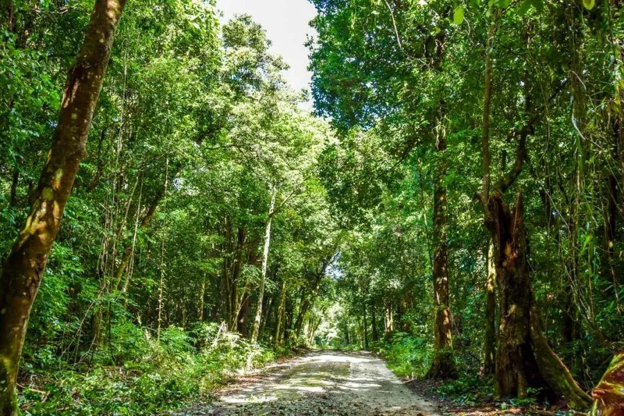 Niue Travel Times & Distances: How Long Does it Take to Drive Around Niue?