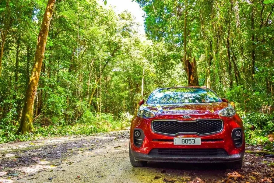 A Guide to the Huvalu Forest: Bike Trails, Tours, Walks & More