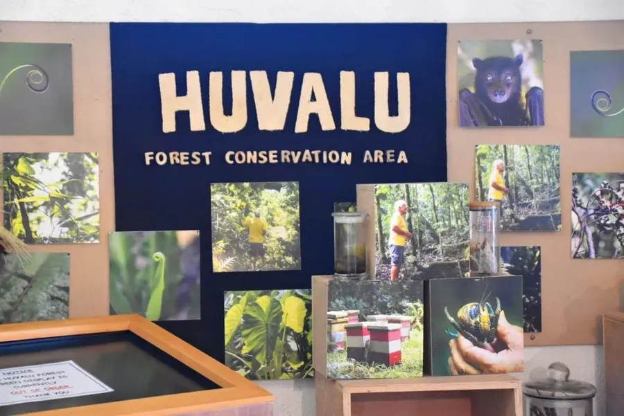 A Guide to the Huvalu Forest: Bike Trails, Tours, Walks & More