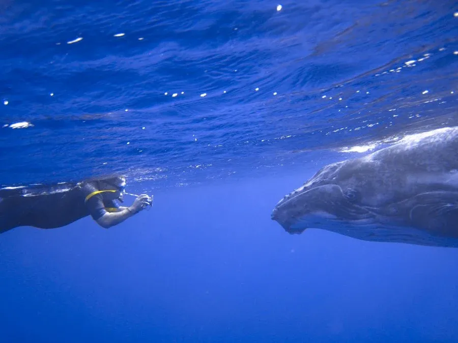 10 Most Iconic Sights in Niue