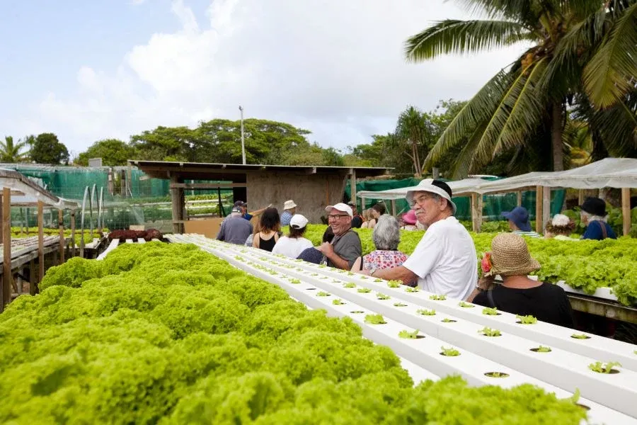Events in 2020 in Niue
