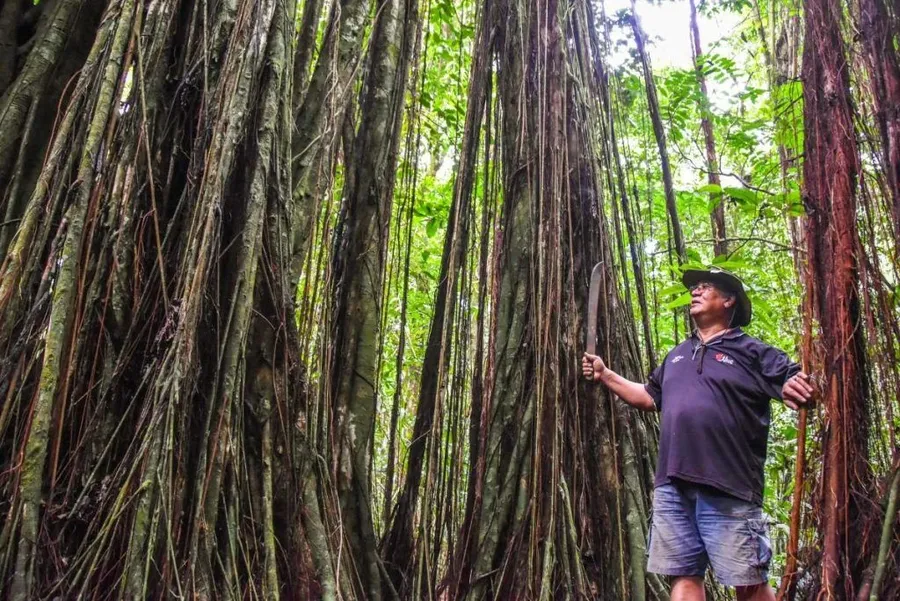 5 Best Things to Do in Hakupu