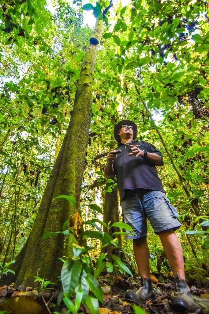 How to Book Tours & Experiences in Niue