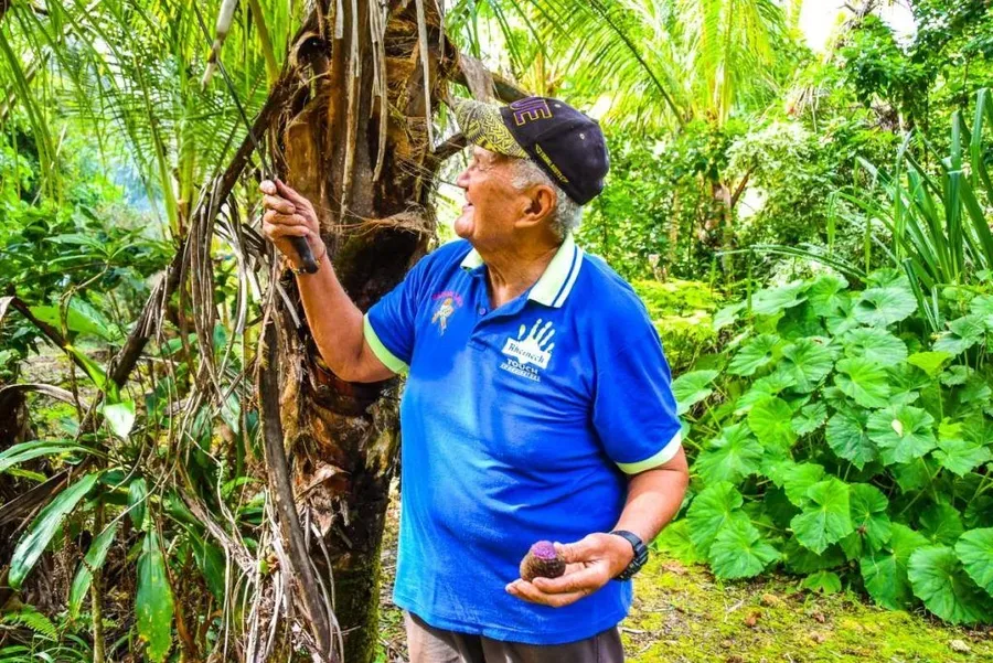 7 Best Nature Tours in Niue