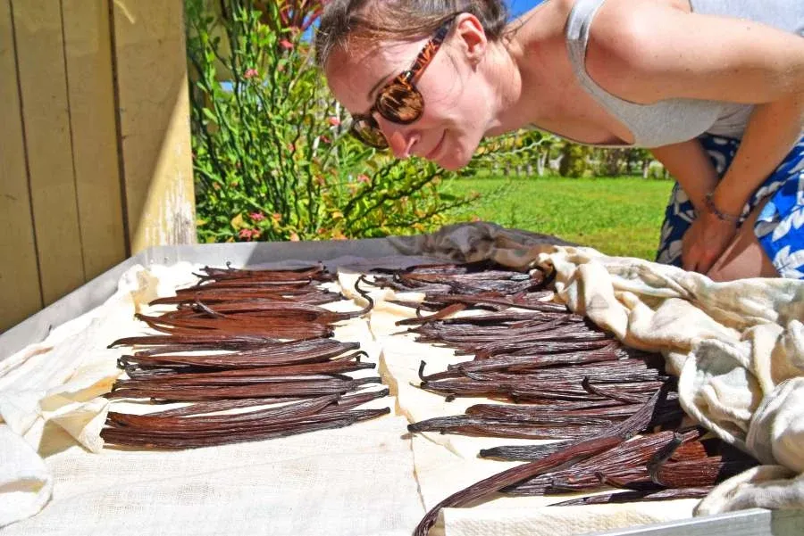 Niue Foodie Itinerary: 14 Days