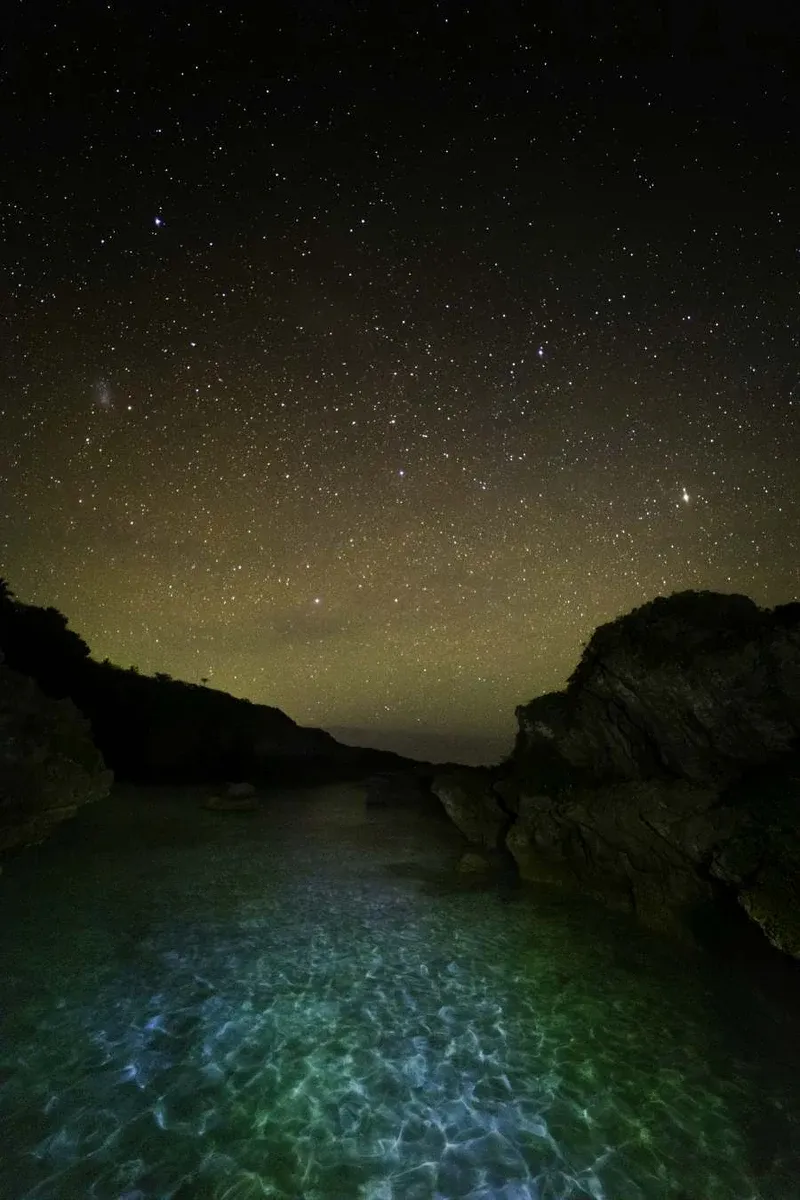 10 Free & Cheap Things To Do in Niue