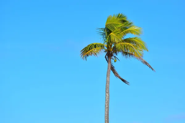 Niue Weather in October