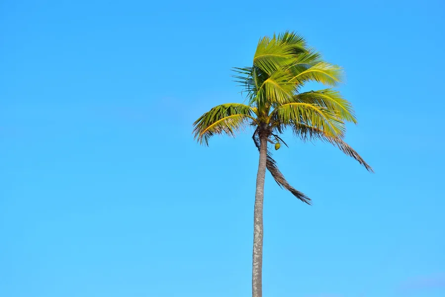 Niue Weather in October