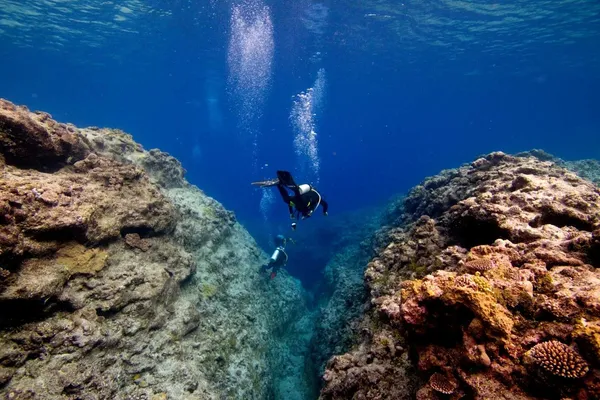 The Best Scuba Diving Tours in Niue [2023]