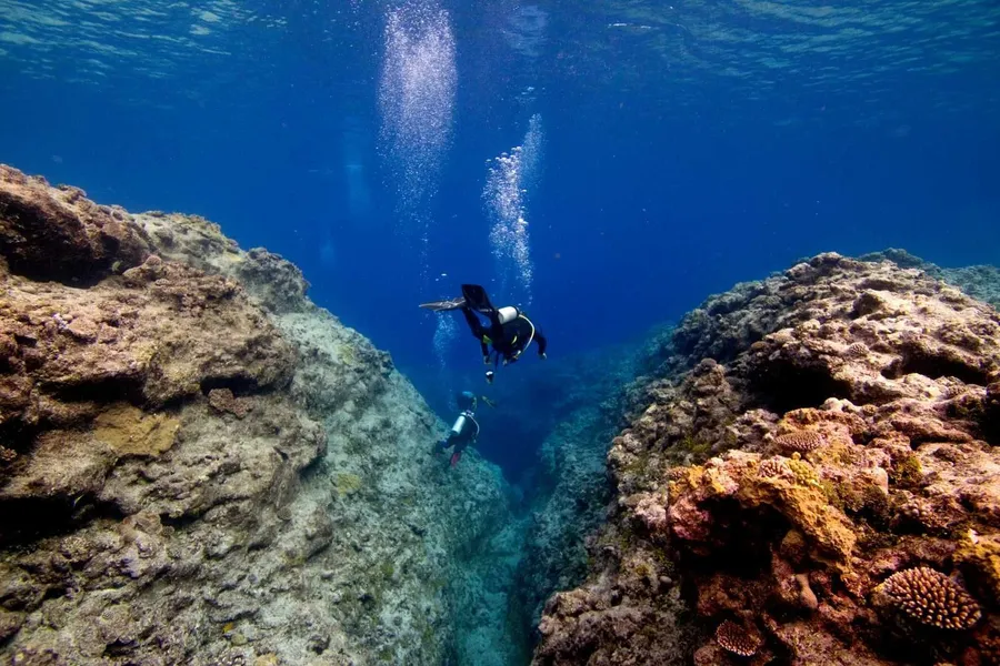 The Best Scuba Diving Tours in Niue [2023]