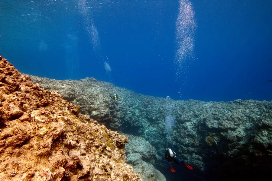 10 Best Dive Sites in Niue