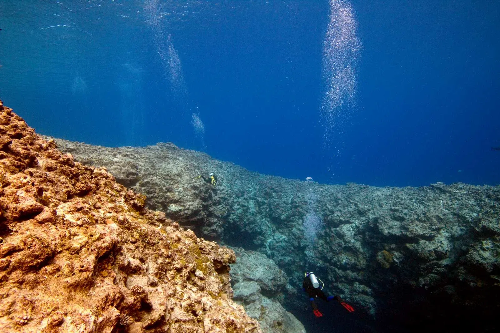 10 Best Dive Sites in Niue