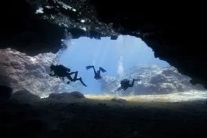 The Guide to Scuba Diving in Niue ???? [2023]