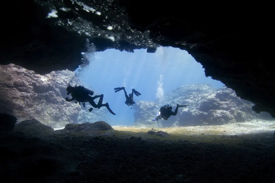 The Guide to Scuba Diving in Niue ???? [2023]