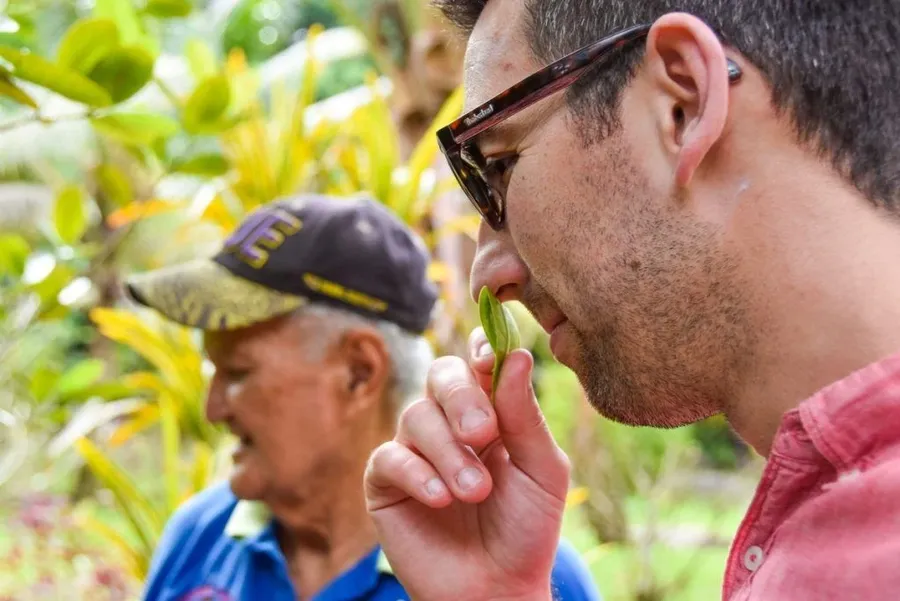 Niue Foodie Itinerary: 3 Days / Weekend