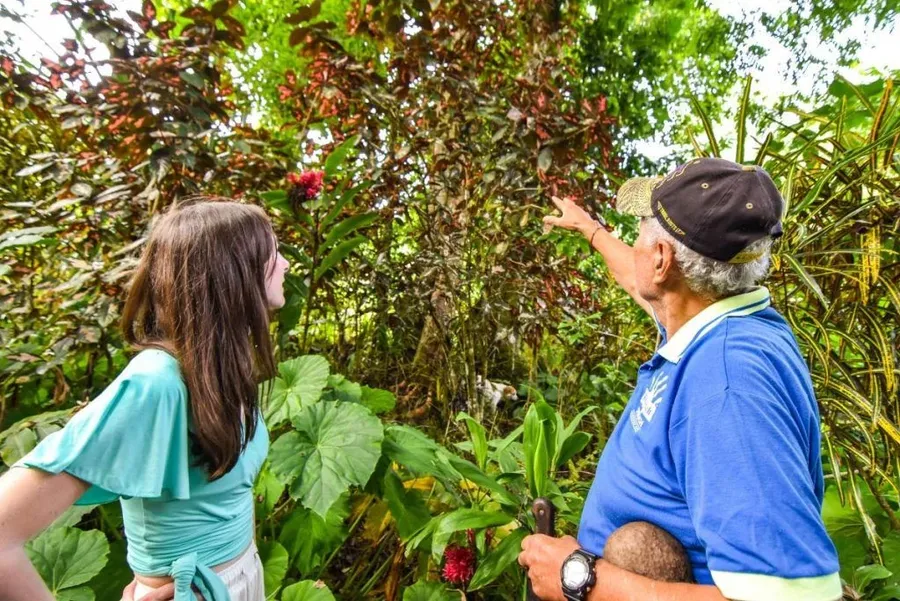 Niue Food Itinerary: 14 Days / 2 Weeks