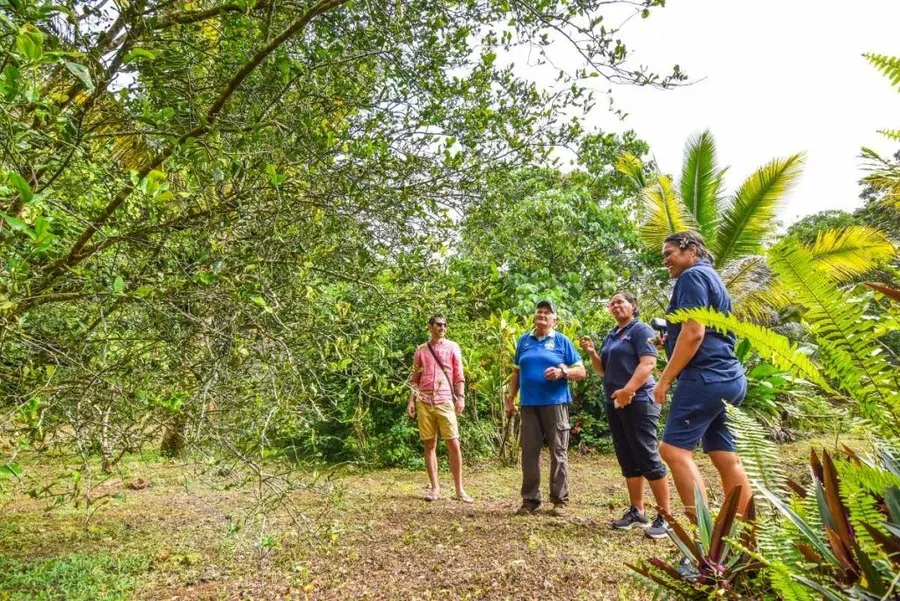The Best Guided Tours in Niue [2023]