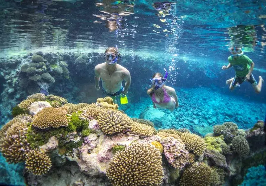 What are the Best Sunscreens for Niue?