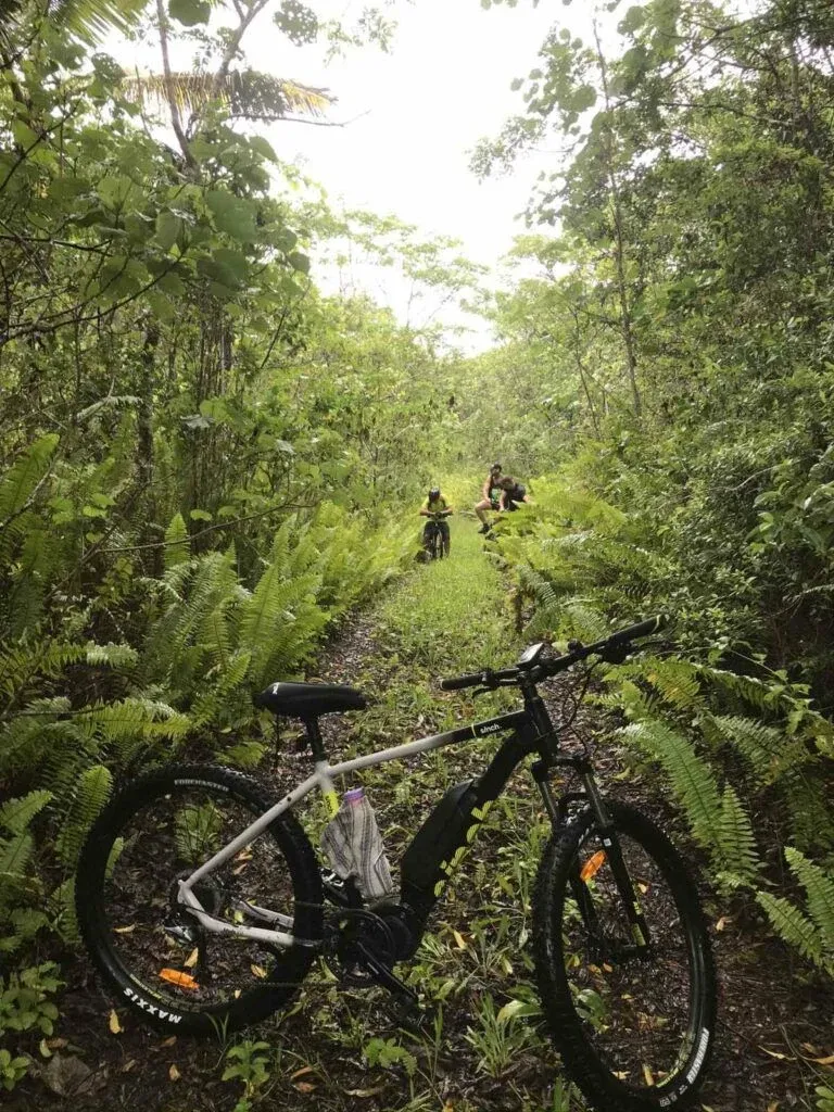 31 Ways to Travel More Sustainably in Niue