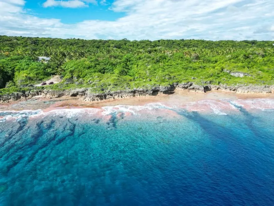 The Best Time to Visit Niue