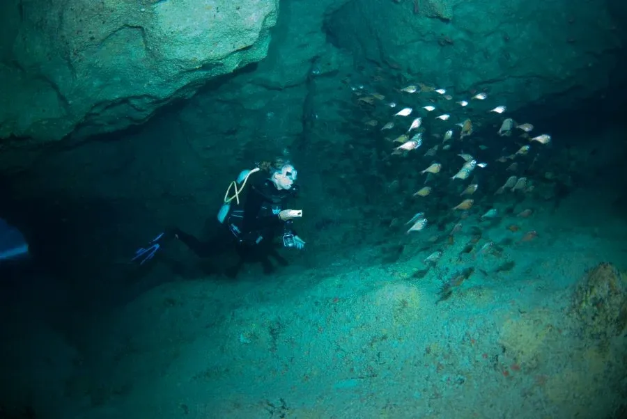 10 Best Dive Sites in Niue