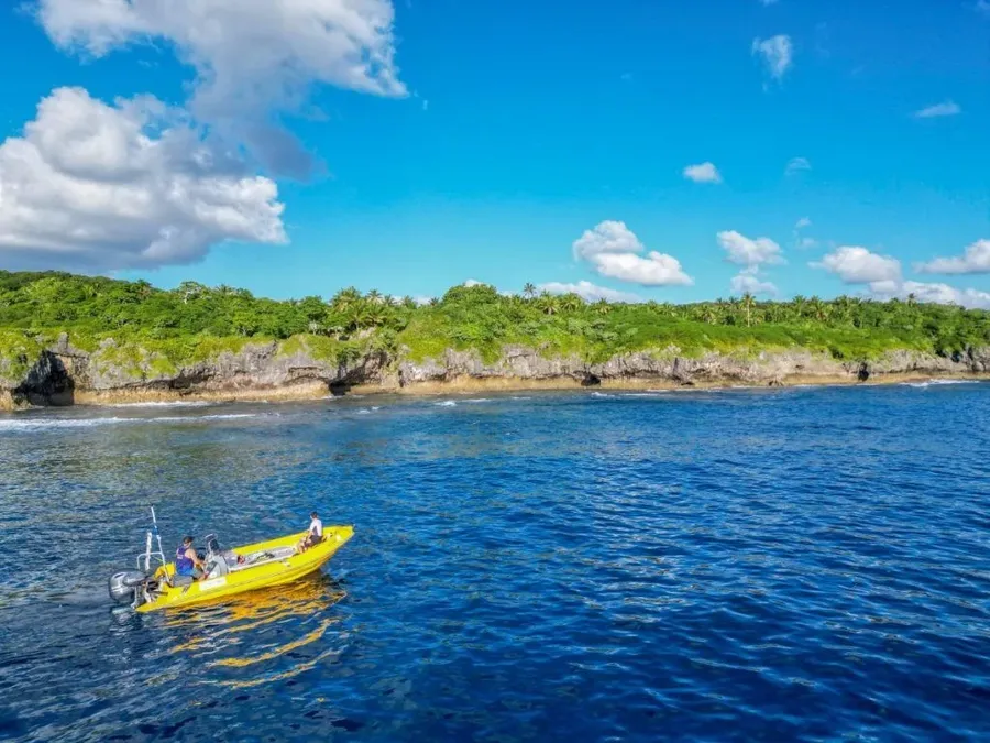 The Best Whale Tours in Niue [2023]