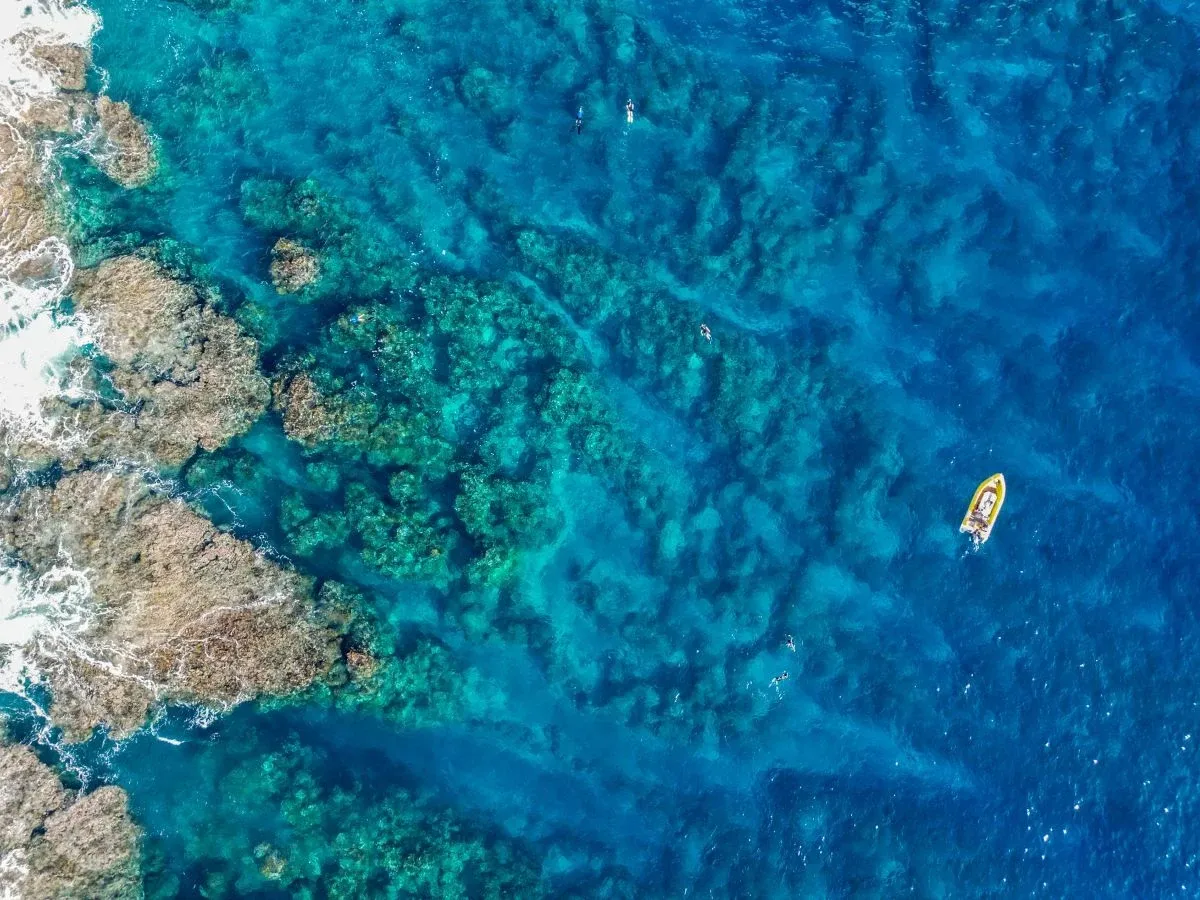 The Best Boat Tours in Niue