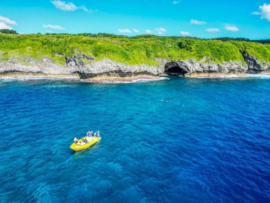 The Guide to Scuba Diving in Niue ???? [2023]
