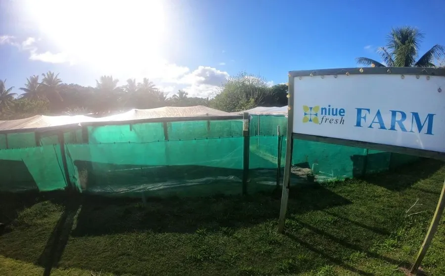 The Guide to Supermarkets & Food Shopping in Niue
