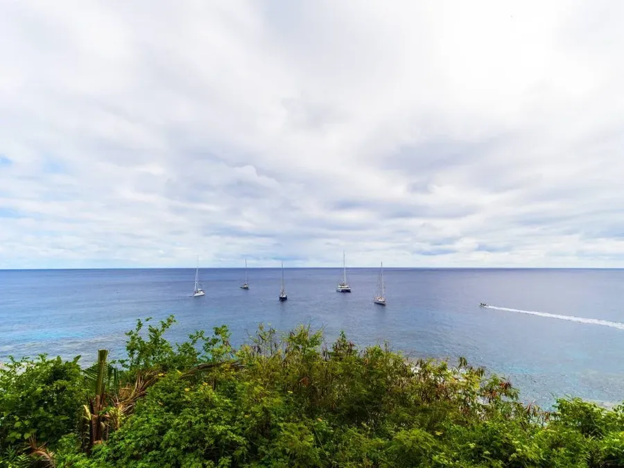 5 Things to Know Before Arriving in Niue on a Yacht