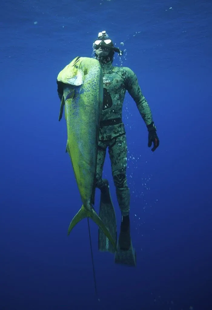 The Complete Guide to Spearfishing in Niue