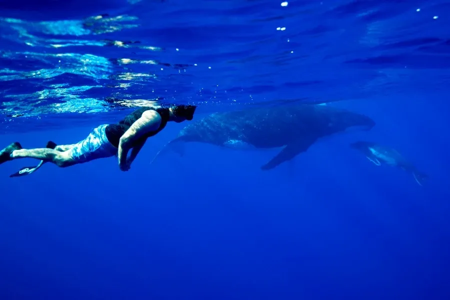 10 Epic Things to Do in Niue