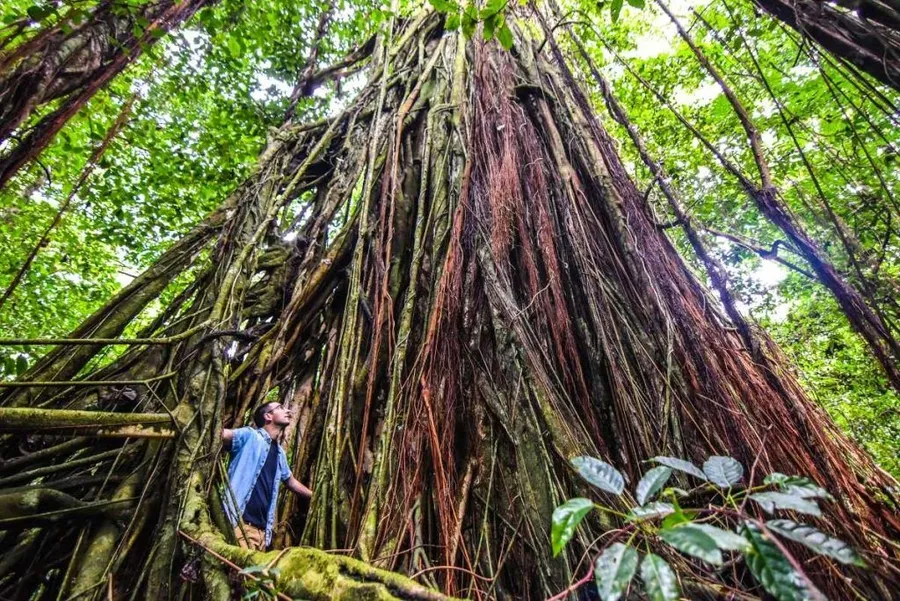 6 Best Guided Tours in Niue ???? [2023]
