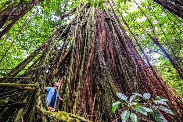 The Best Niue Itineraries for 2 Weeks ???? [2023]
