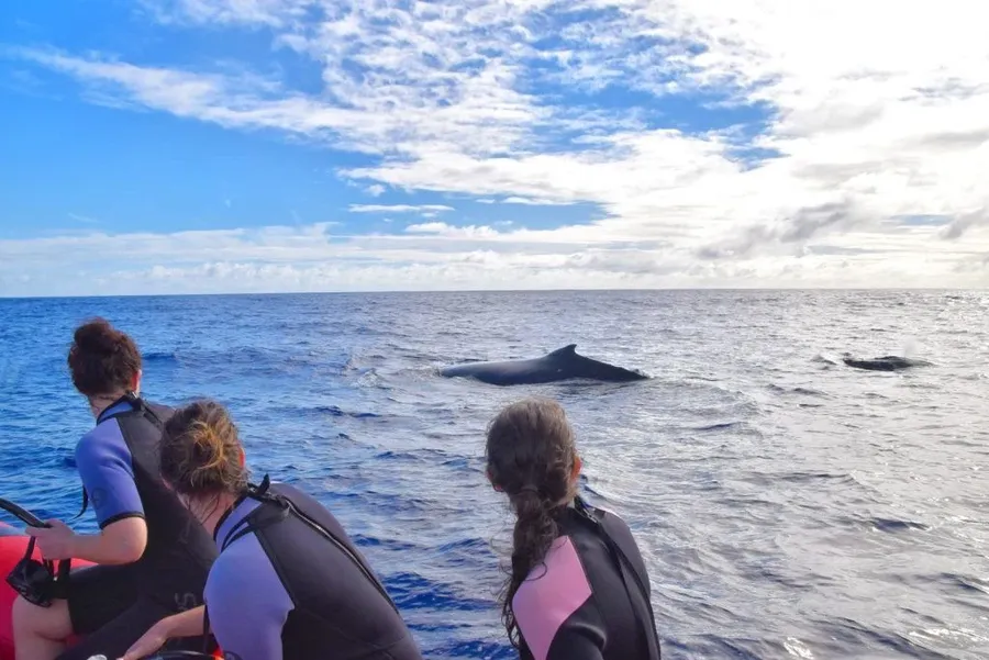 7 Child-Free Activities in Niue
