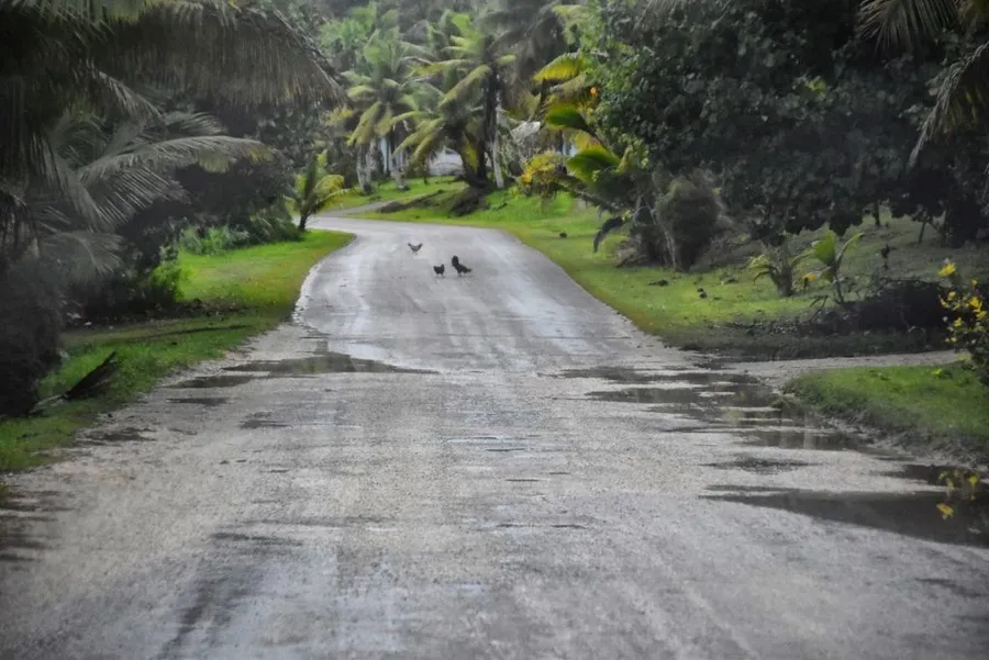10 Ways to Avoid Mosquito Bites in Niue