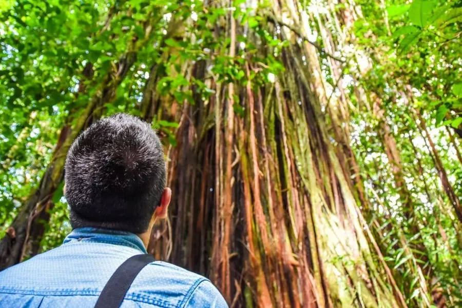 Niue Luxury Itinerary: 14 Days / 2 Weeks