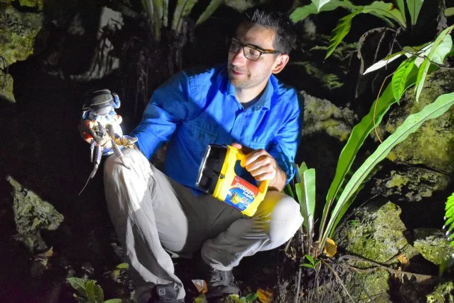 10 Best Ways to Experience the Niue Culture