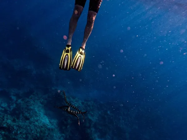 Niue Luxury Itinerary: 4 Days